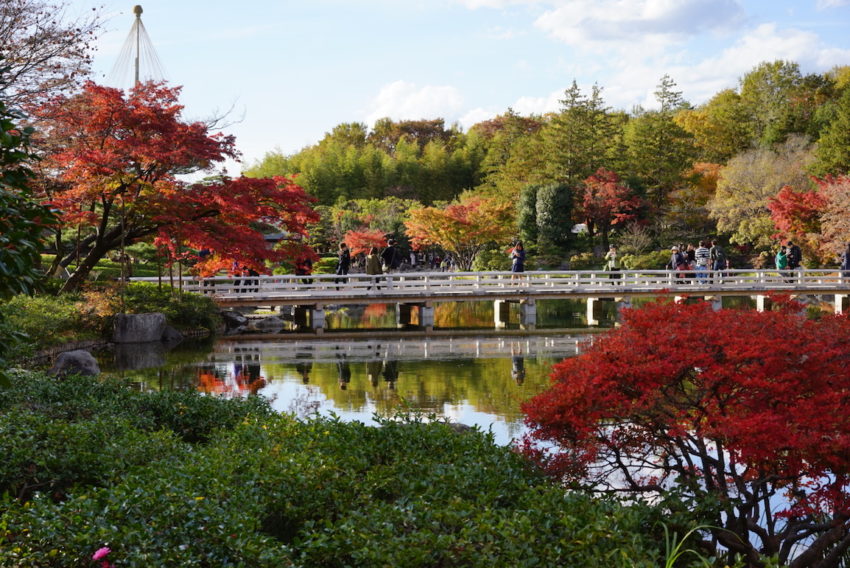日本庭園　昭和記念公園