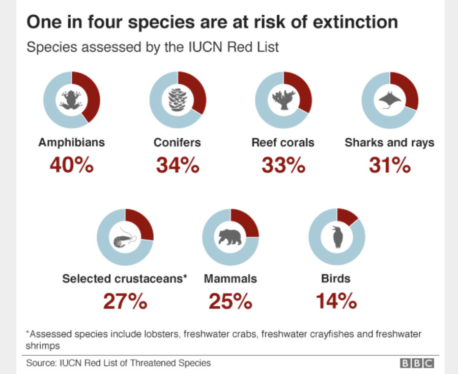 絶滅リスクにある種 BBC