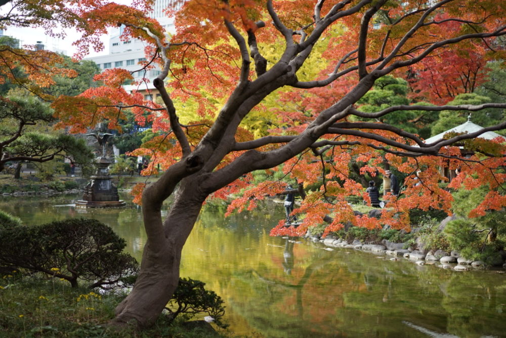 日比谷公園 東京 池 紅葉