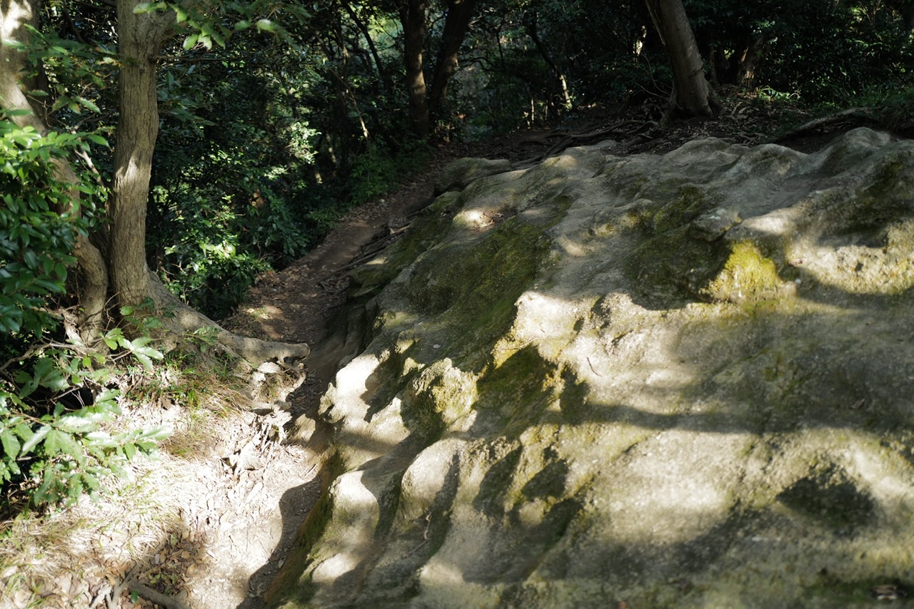 鷹取山 岩の道