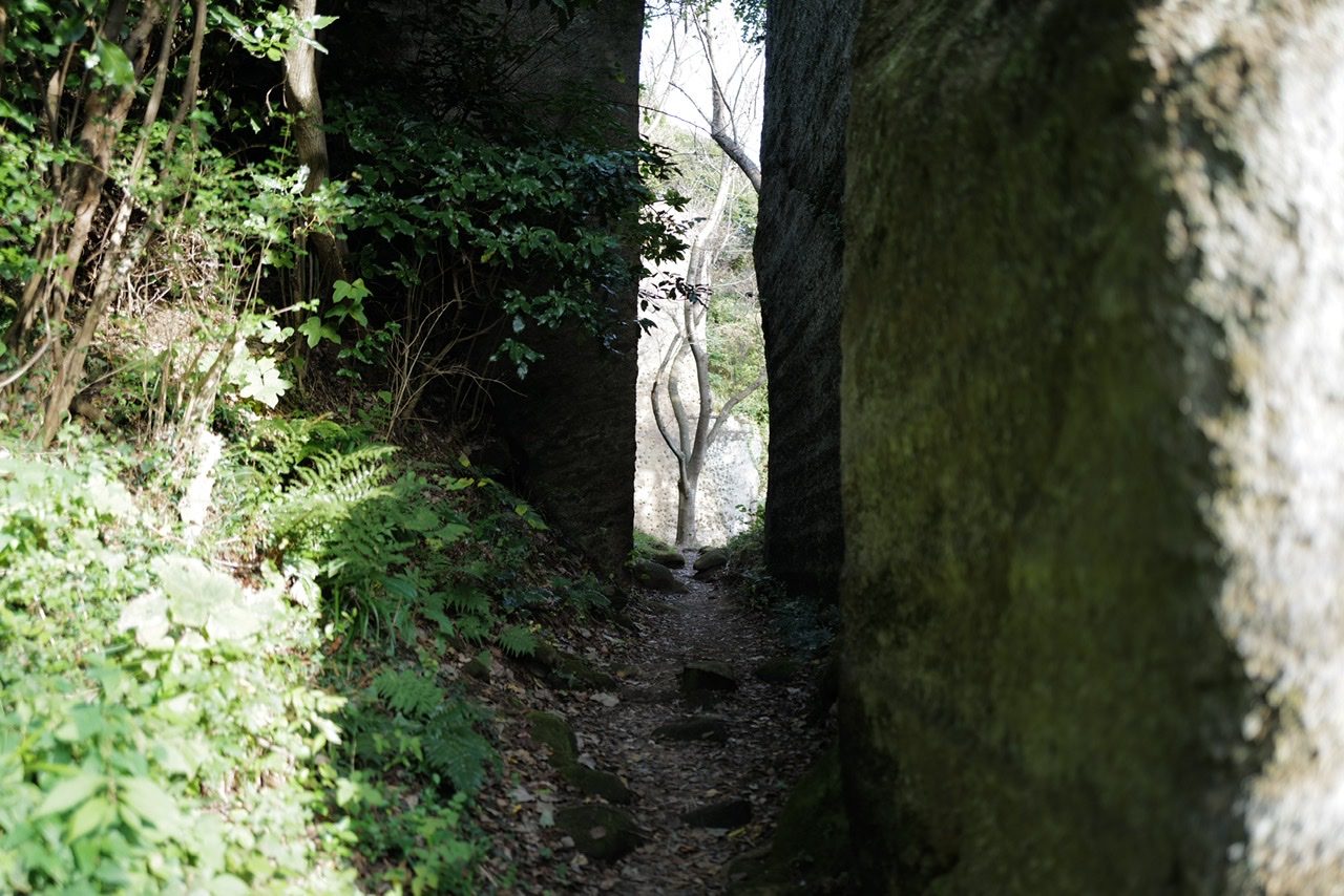 鷹取山 磨崖仏の裏