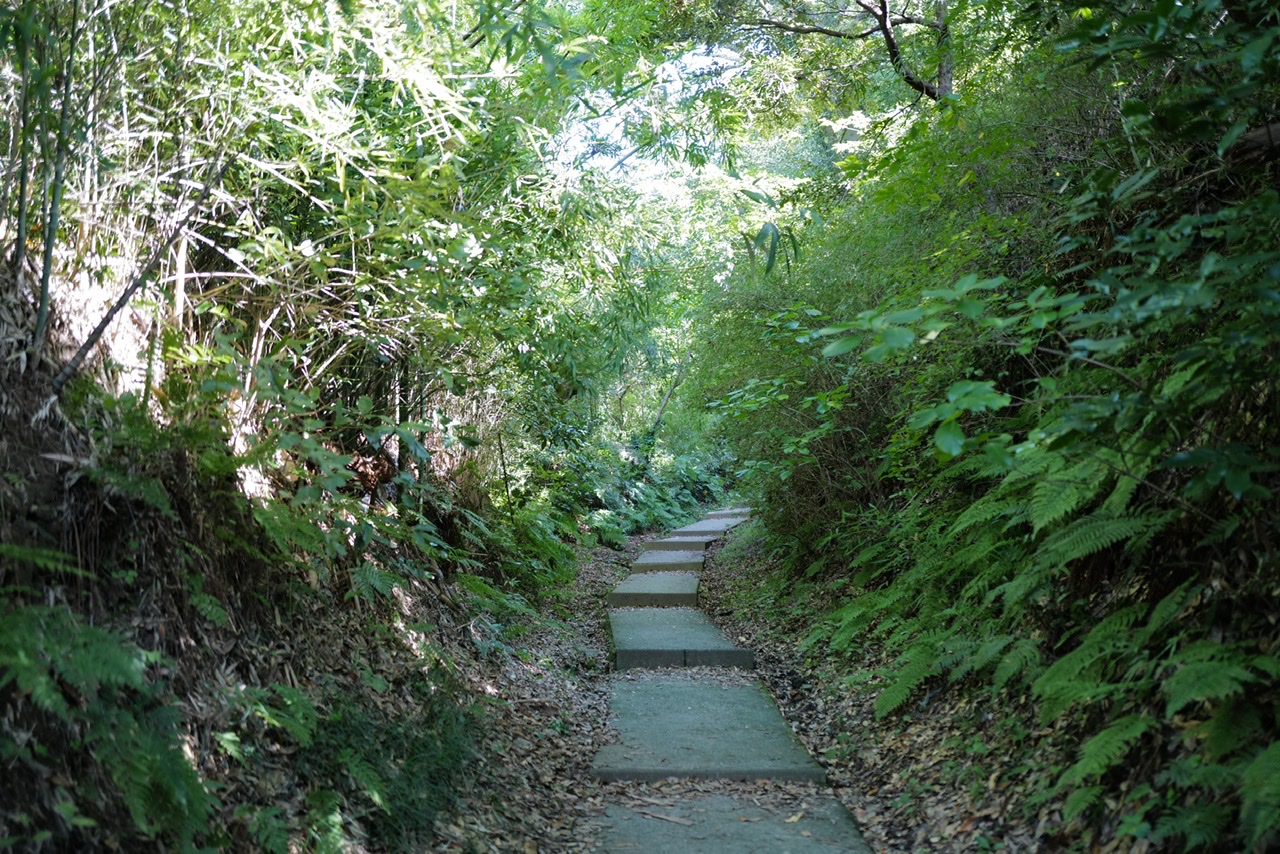 鷹取山 初期の登山道