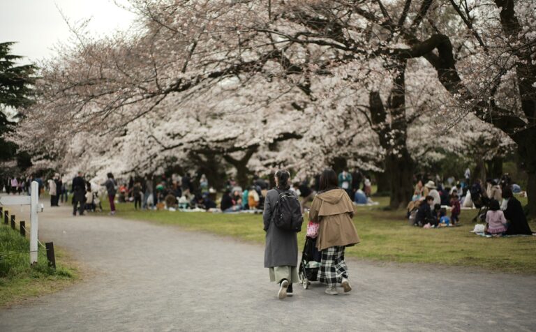 小石川植物園 桜 2023.3.21
