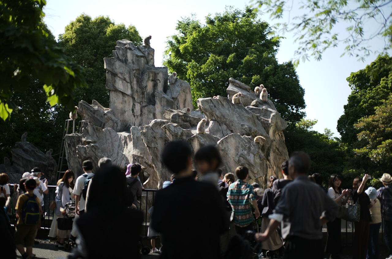 上野動物園 猿と人