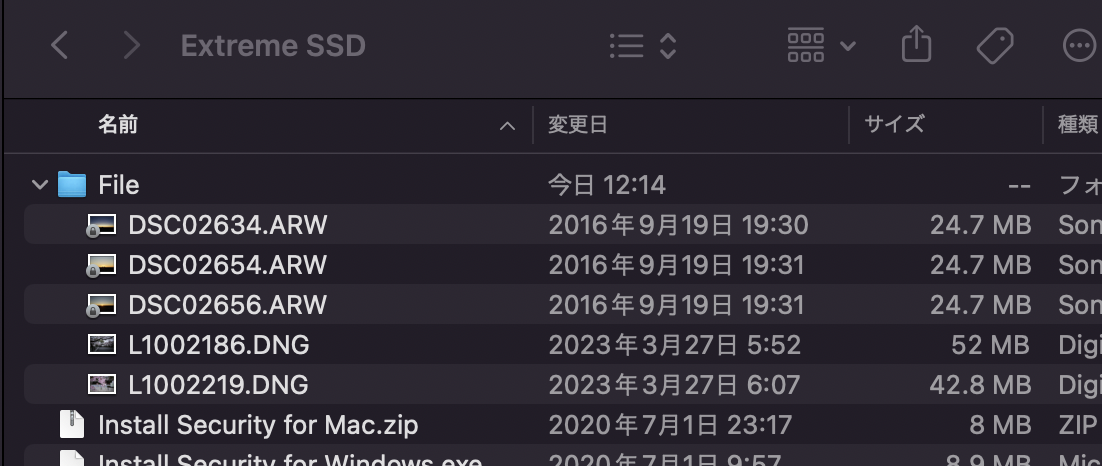 Fileに入れたRawファイル