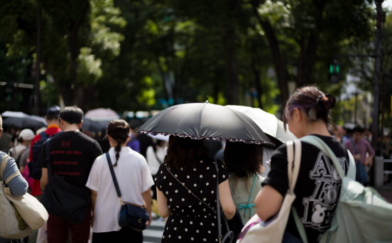 夏 日傘