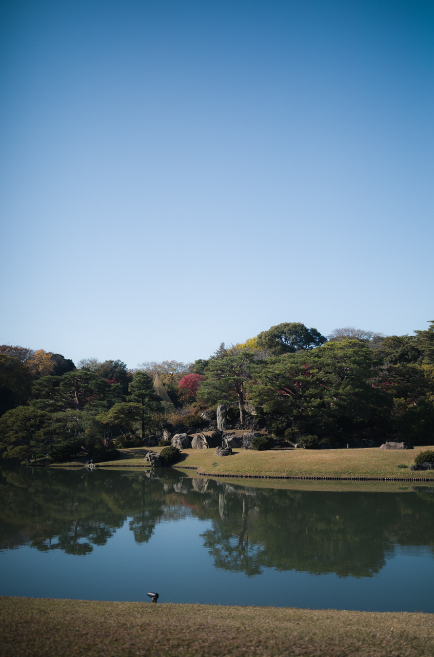 六義園 紅葉 2024 12月初旬