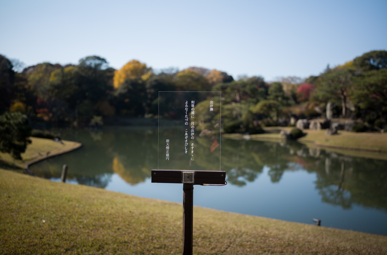 六義園 紅葉 2024 12月初旬