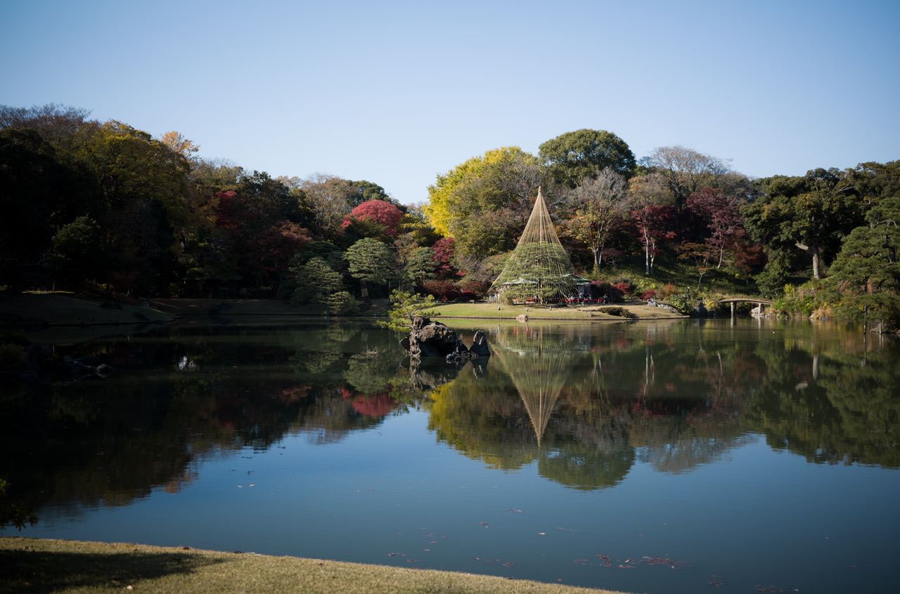 六義園 紅葉 2024 12月初旬