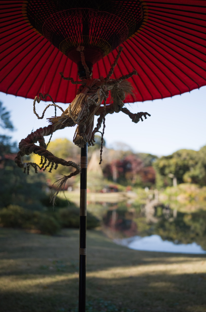 六義園 龍