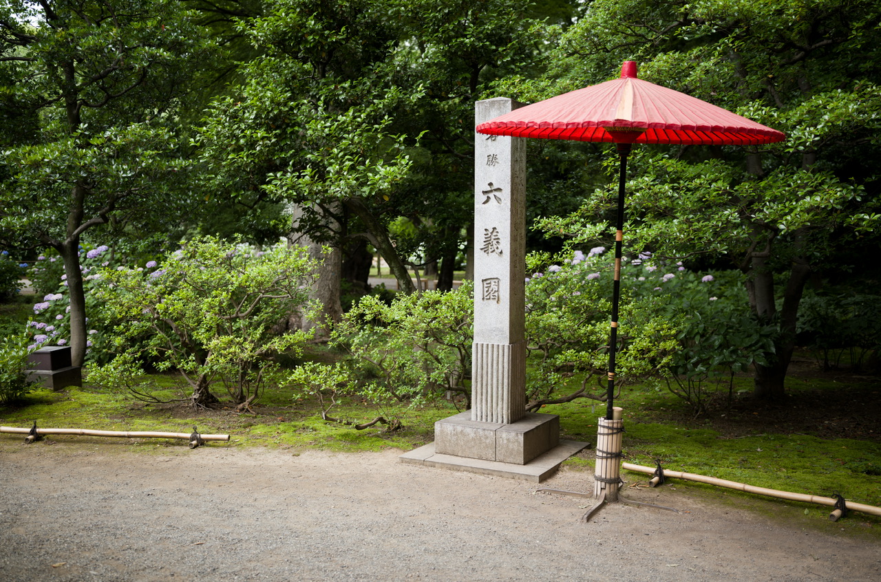 六義園 紫陽花 2025