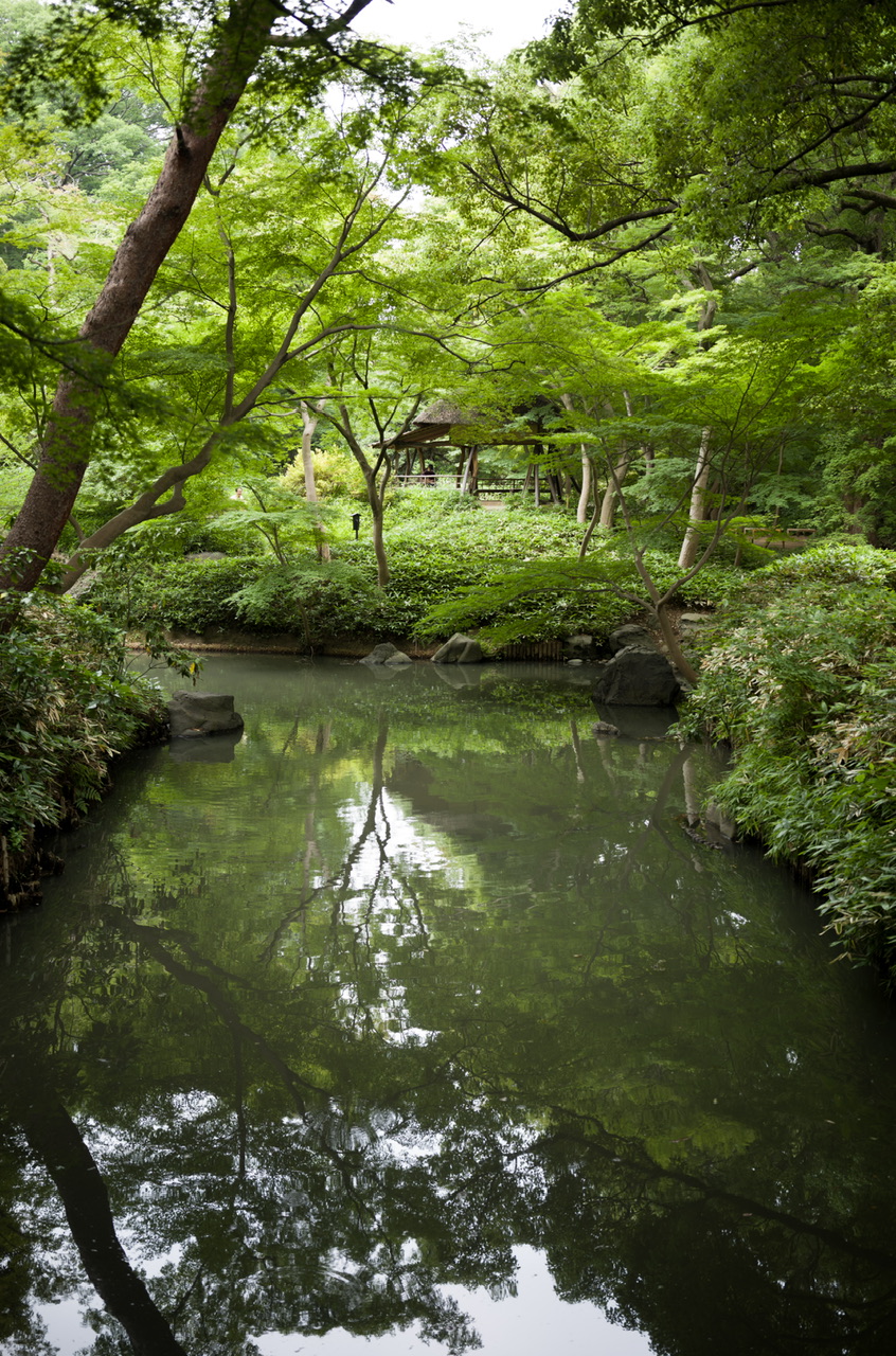 六義園