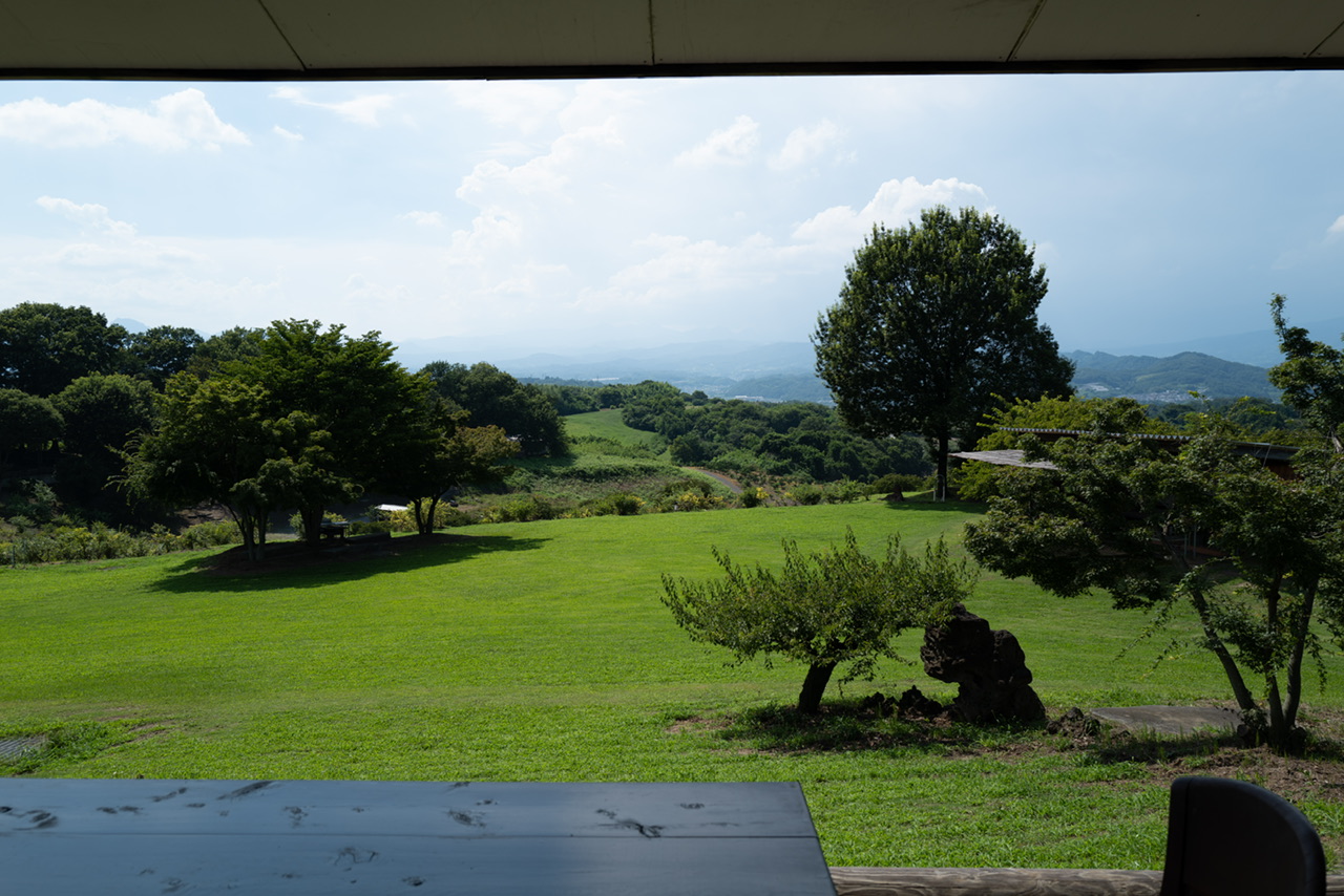 希望の丘農園 ブルーベリー