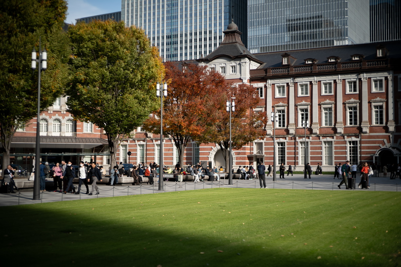 東京駅 紅葉