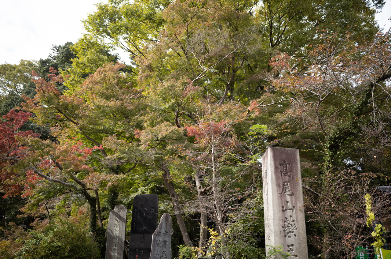 高尾山 2025年11月2日 紅葉