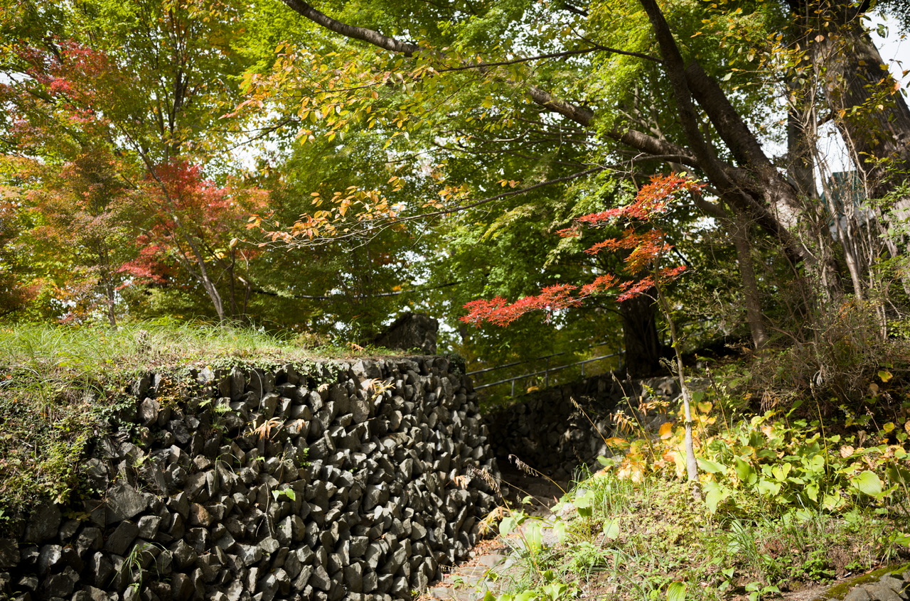 高尾山 2025年11月2日 紅葉
