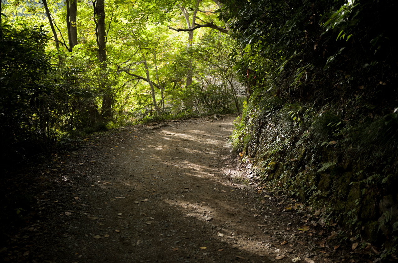 高尾山 2025年11月2日