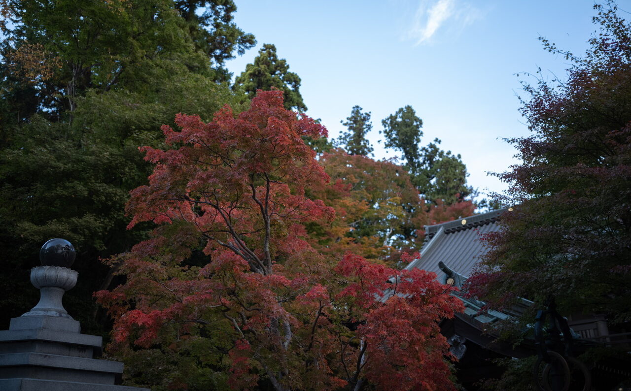 JKworks「紅葉」 ケイスケ on X