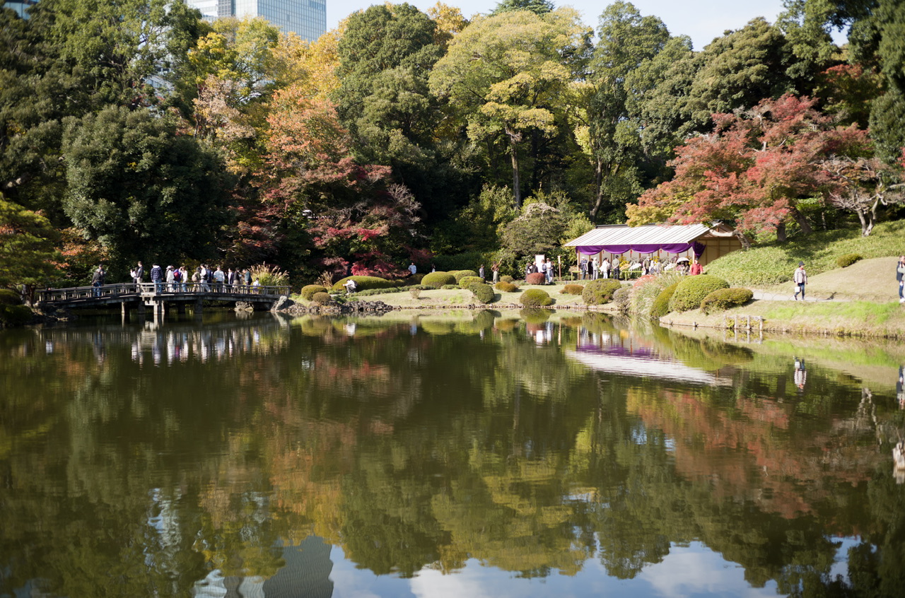 新宿御苑 紅葉 2025/11/16
