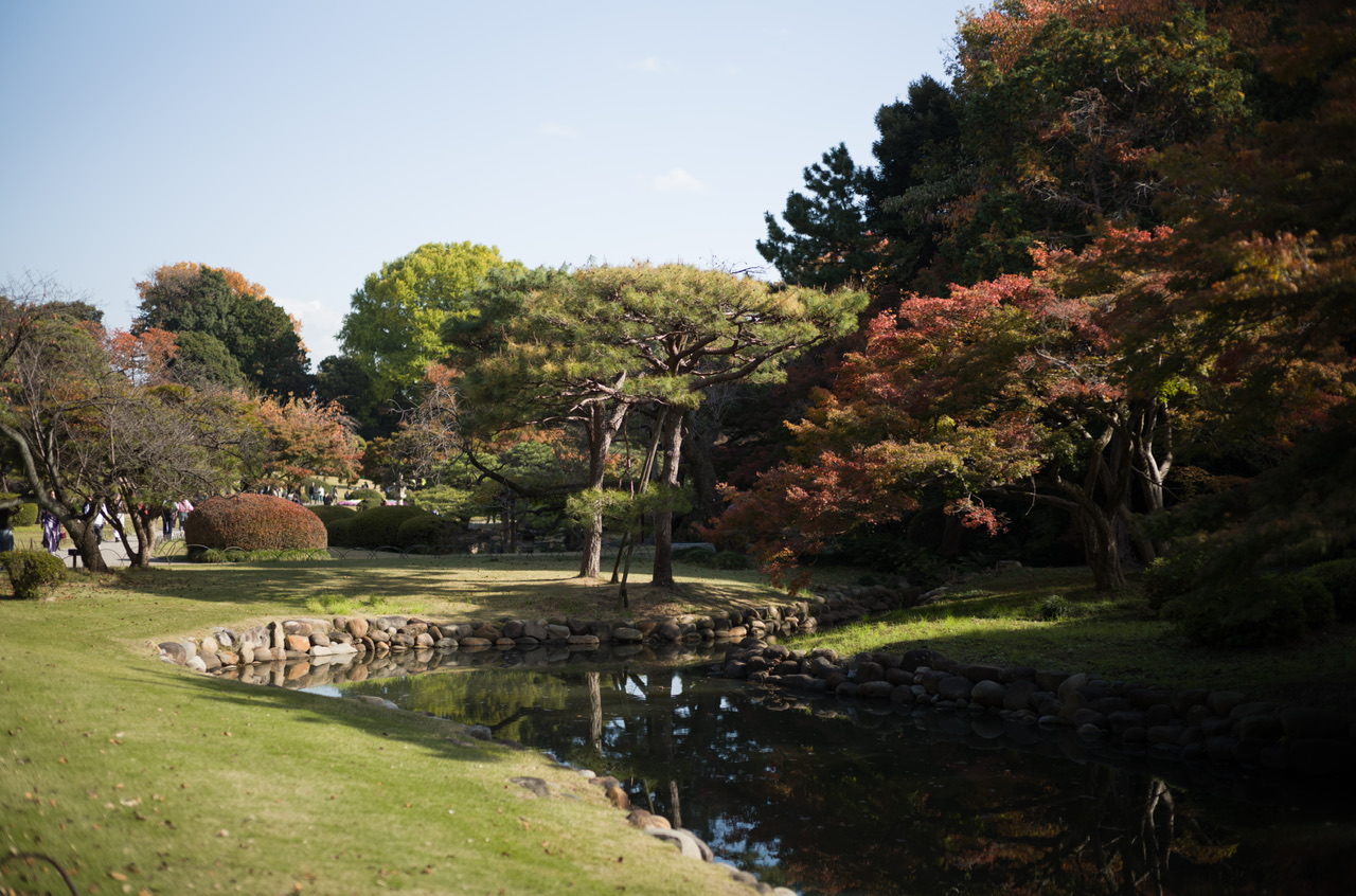 新宿御苑 紅葉 2025/11/16