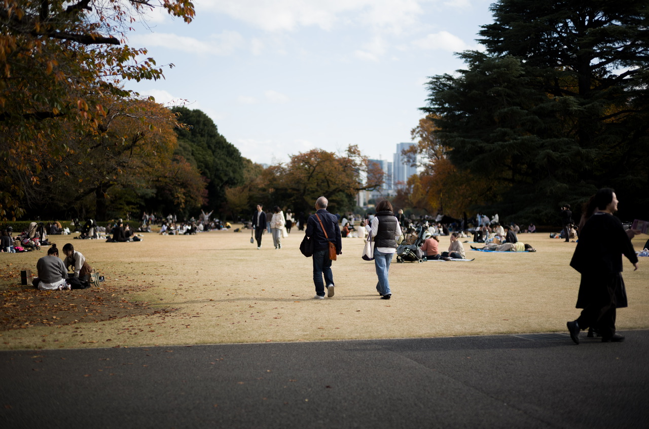 新宿御苑 紅葉 2025/11/16