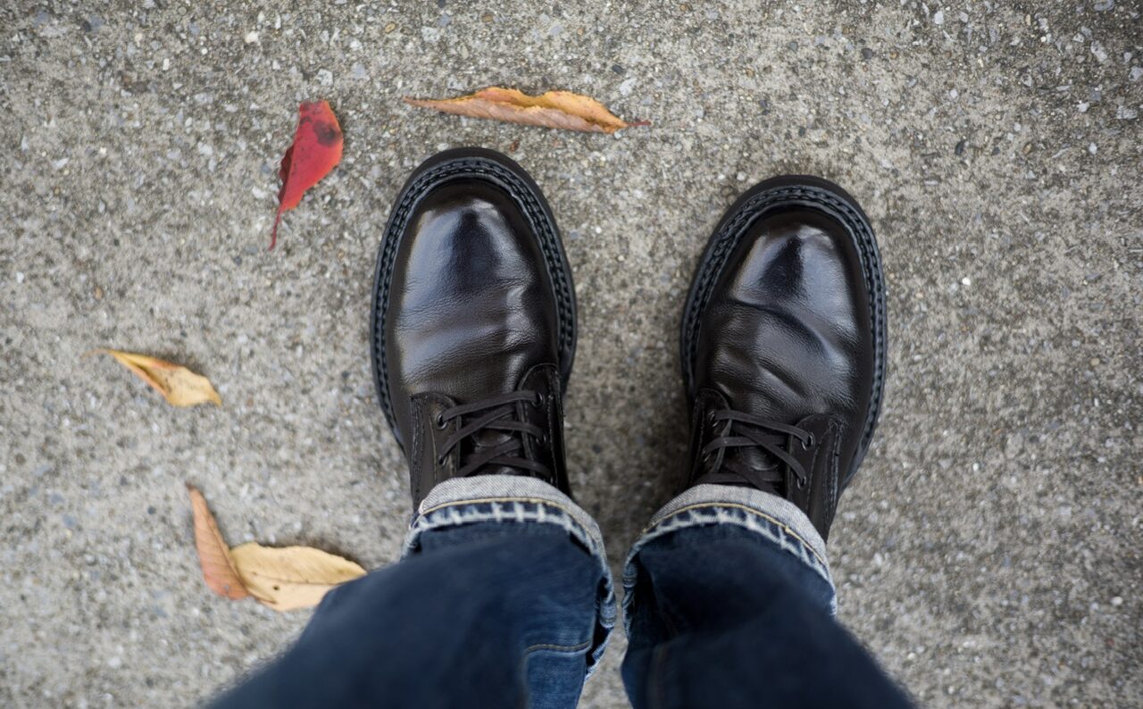 White semidress water buffalo