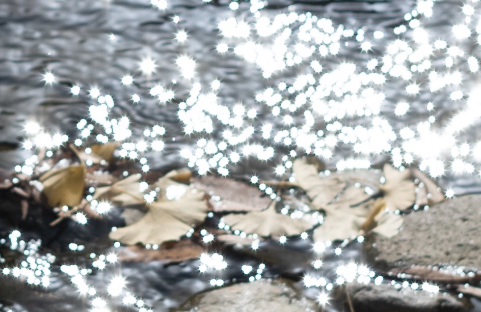 ズミルックス50mmの弱点 手裏剣