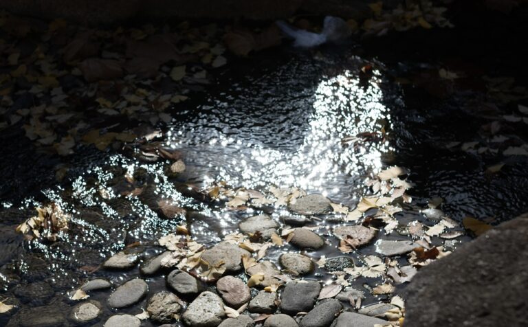 ズミルックス50mmの弱点 手裏剣