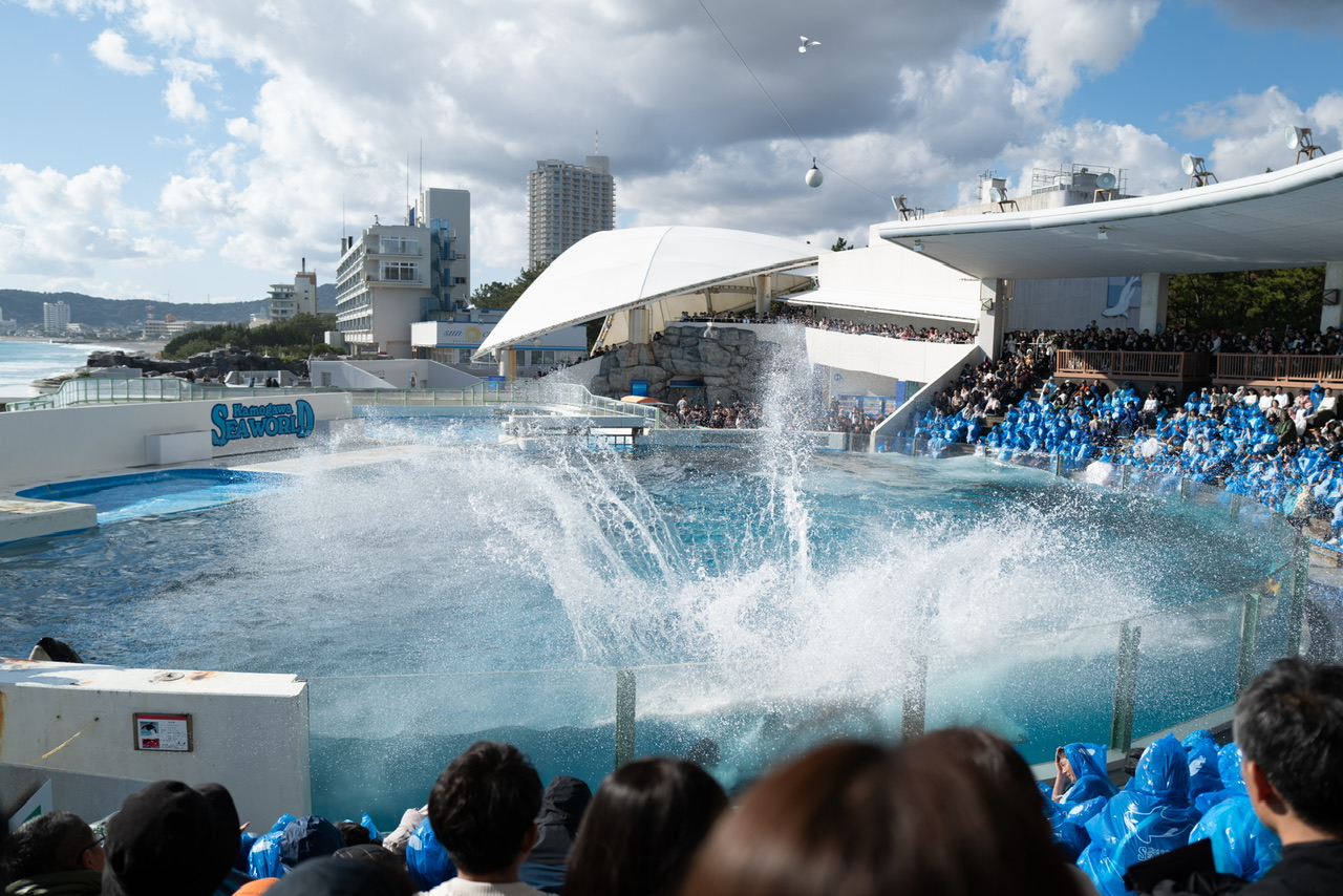 鴨川シーワールド シャチ