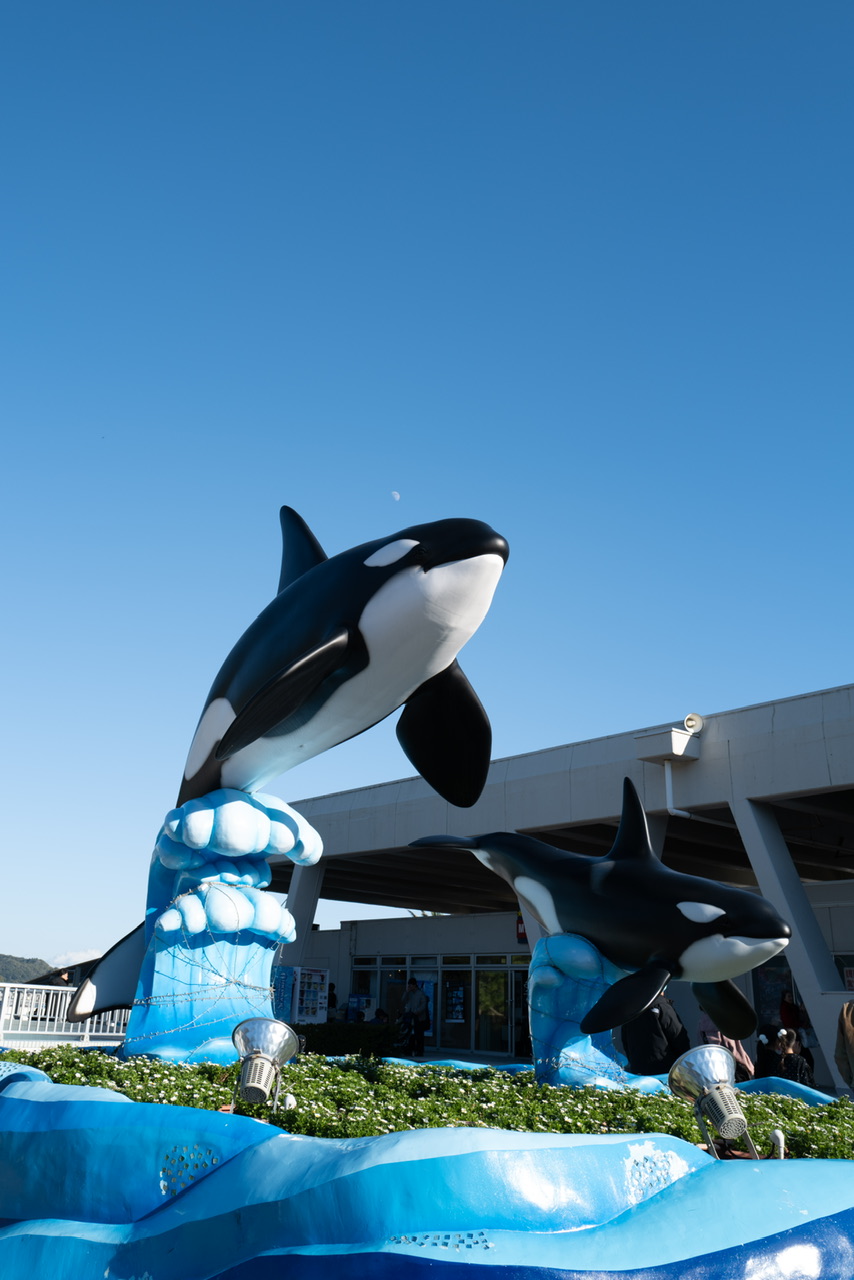 鴨川シーワールド シャチ