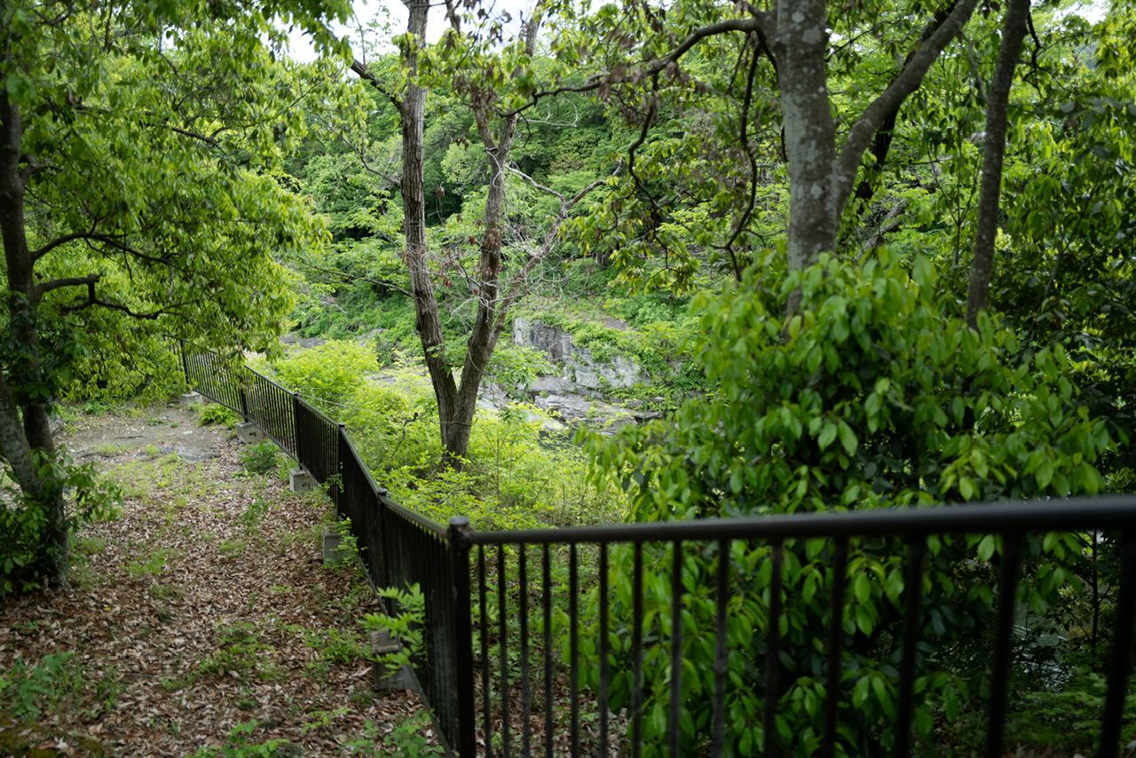 長瀞 蓬莱島公園