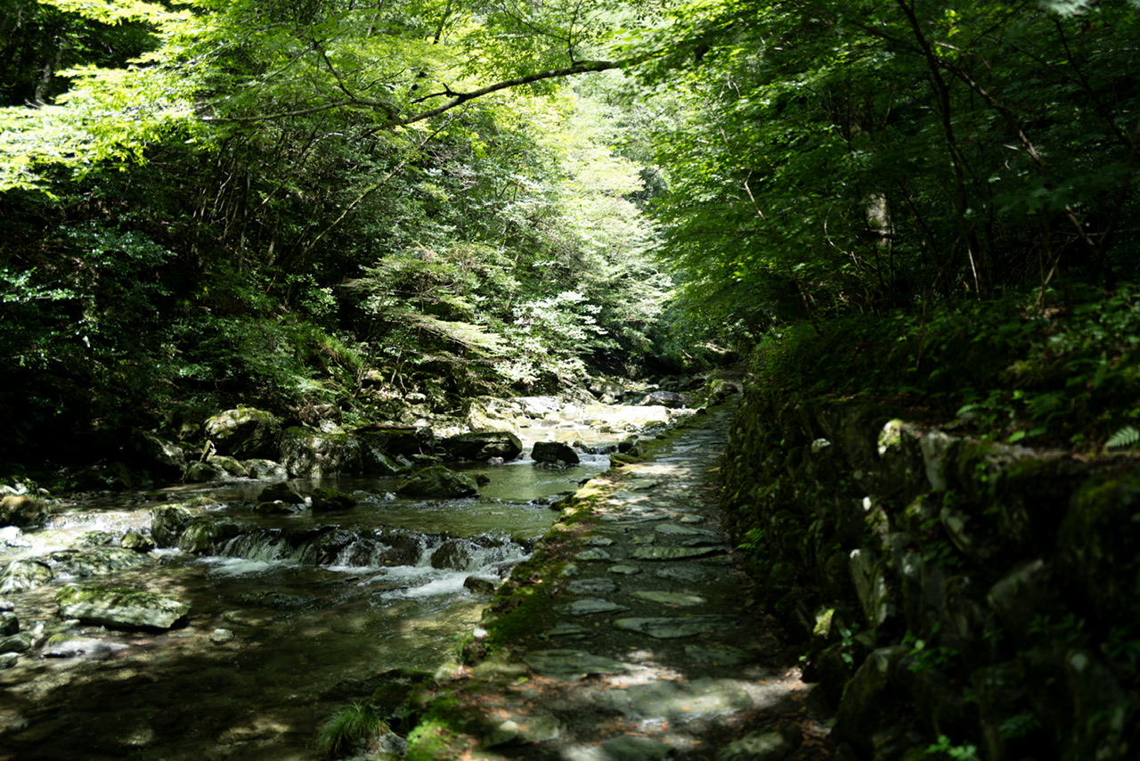 安居渓谷 飛龍の滝への道